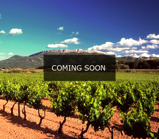 Big Terra Wine